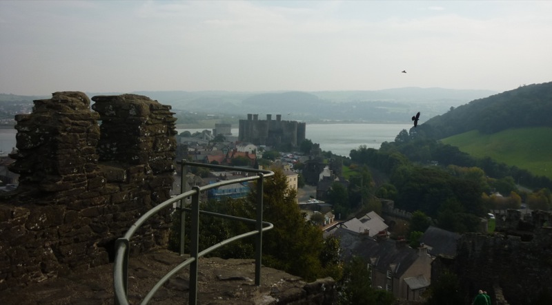 Conwy castle and crow from city wall